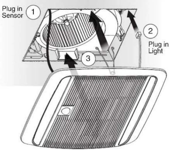 Plug in Sensor 1 2 Plug in Light 3