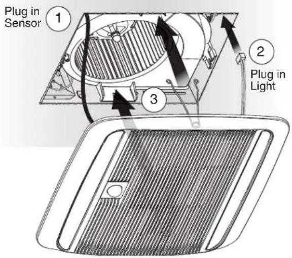 Plug in Sensor 1 2 Plug in Light 3