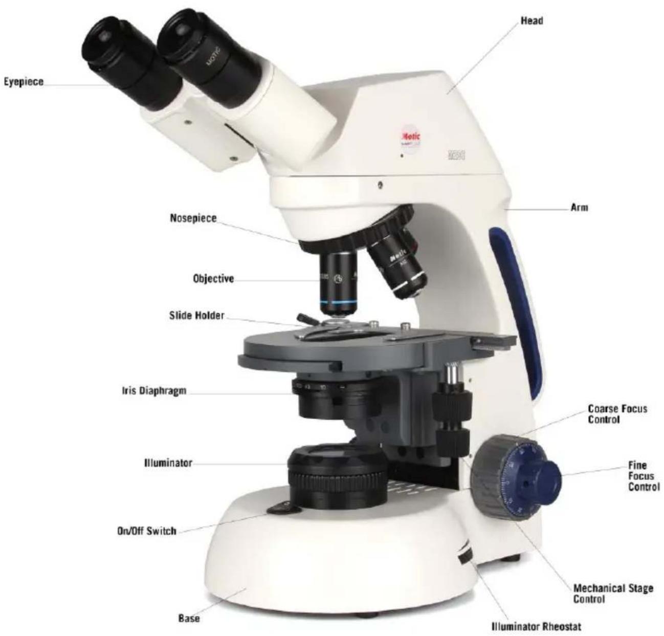 Head Eyepiece Nosepiece Objective Slide Holder Iris Diaphragm Illuminator On/Off Switch Base Arm Coarse Focus Control Fine Focus Control Mechanical Stage Control Illuminator Rheostat