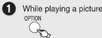 1 While playing a picture, press OPTION.