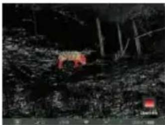 Dark outdoor scene with a small red object and a small red square marker, no visible text or symbols.