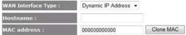 WAN Interface Type : Dynamic IP Address Hostname : MAC address : 000000000000 Clone MAC