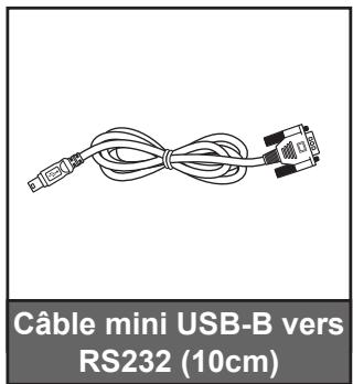 Câble mini USB-B vers RS232 (10cm)