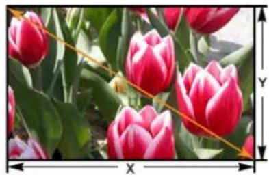 SAMSUNG SP-M220 - To adjust the picture when you install the projector in the front of the screen - 5