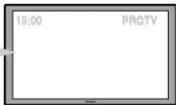 PIONEER PDP-LX608G - Display examples susceptible to burning - 2