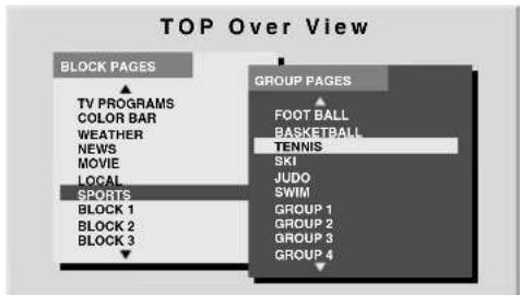 TOP Over View BLOCK PAGES TV PROGRAMS COLOR BAR WEATHER NEWS MOVIE LOCAL SPORTS BLOCK 1 BLOCK 2 BLOCK 3 GROUP PAGES FOOT BALL BASKETBALL TENNIS SKI JUDO SWIM GROUP 1 GROUP 2 GROUP 3 GROUP 4
