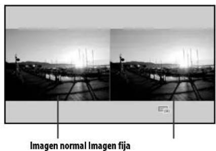 Imagen normal Imagen fija