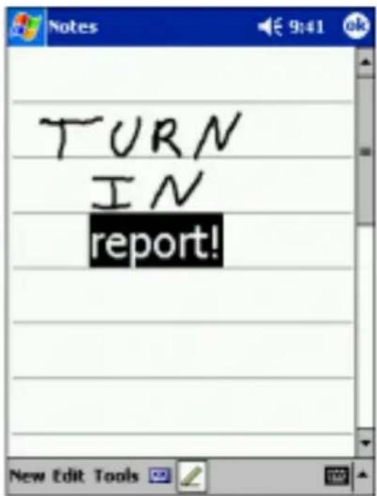 TURN IN report!