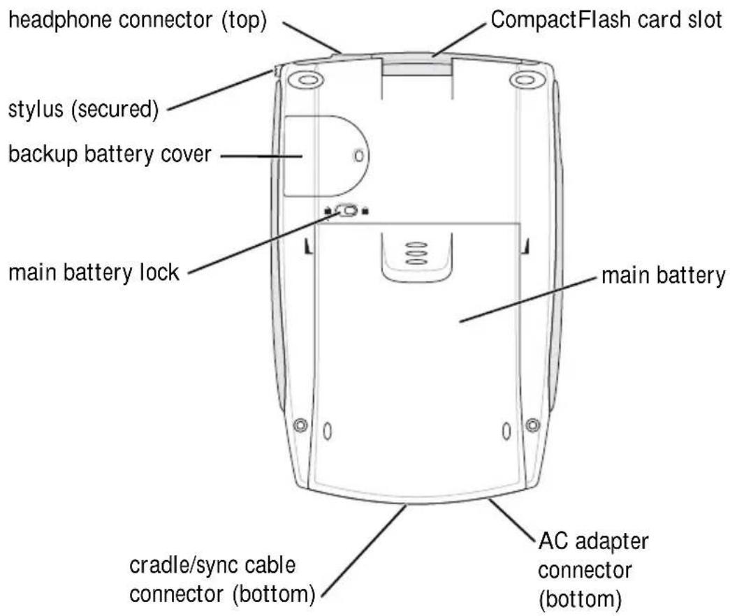 headphone connector (top) CompactFlash card slot stylus (secured) backup battery cover main battery lock main battery cradle/sync cable connector (bottom) AC adapter connector (bottom)