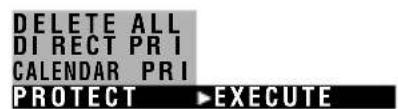DELETE ALL DIRECT PRI CALENDAR PRI PROTECT ►EXECUTE
