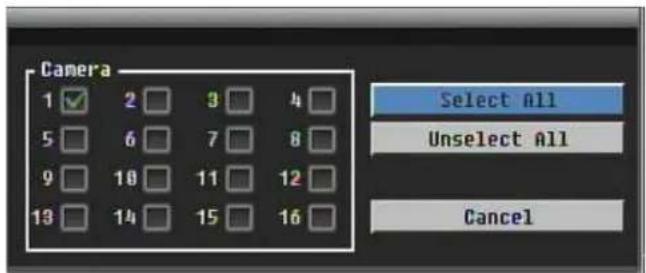 Camera 1 ✓ 2 □ 3 □ 4 □ 5 □ 6 □ 7 □ 8 □ 9 □ 10 □ 11 □ 12 □ 13 □ 14 □ 15 □ 16 □ Select All Unselect All Cancel