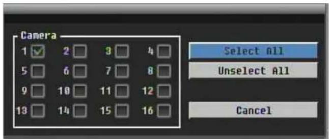 Camera 1 ✓ 2 □ 3 □ 4 □ 5 □ 6 □ 7 □ 8 □ 9 □ 10 □ 11 □ 12 □ 13 □ 14 □ 15 □ 16 □ Select All Unselect All Cancel