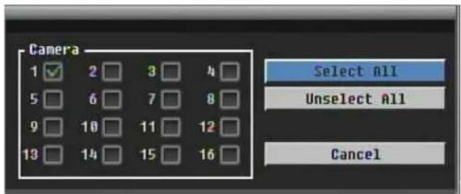 Camera 1 ✓ 2 □ 3 □ 4 □ 5 □ 6 □ 7 □ 8 □ 9 □ 10 □ 11 □ 12 □ 13 □ 14 □ 15 □ 16 □ Select All Unselect All Cancel