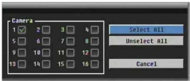 Camera 1 ✓ 2 □ 3 □ 4 □ 5 □ 6 □ 7 □ 8 □ 9 □ 10 □ 11 □ 12 □ 13 □ 14 □ 15 □ 16 □ Select All Unselect All Cancel