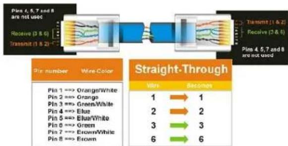 EverFocus Paragon264 2TB - Network Connection through Patch Cable - 2