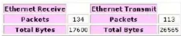 Ethernet Receive Packets 134 Packets 113 Total Bytes 17600 Total Bytes 26565