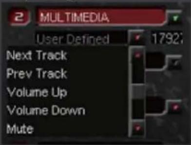 2 MULTIMEDIA User Defined 1792 Next Track Prev Track Volume Up Volume Down Mute