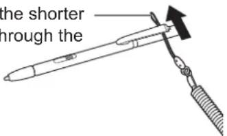 The shorter through the