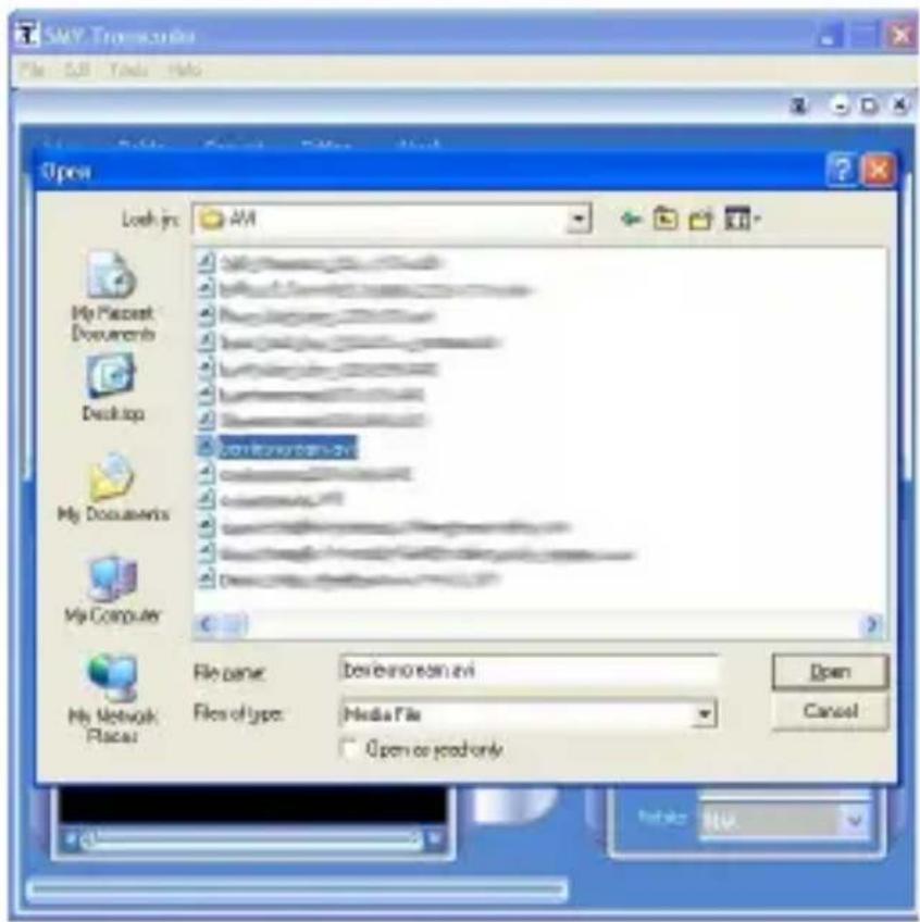 S&P Transactions File Edit Tools Help Open Lock jns: AM My Placemt Documents Desktop My Documents My Computer File name: Devibenscreen.avi Files of type: Media File Open or grad only Open Cancel