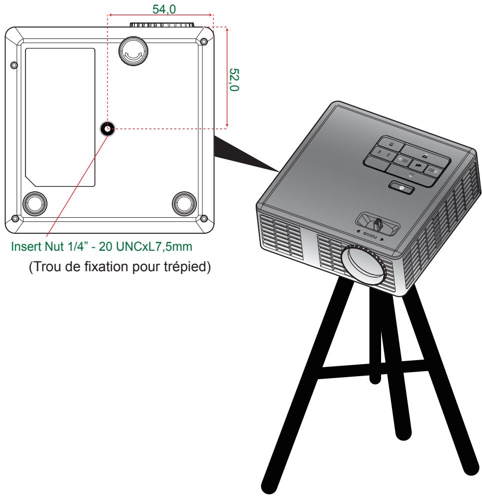 Insert Nut 1/4" - 20 UNCxL7,5mm (Trou de fixation pour trépied)