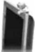 ModeCom MC-NE Net Eye - Web Camera Features - 2