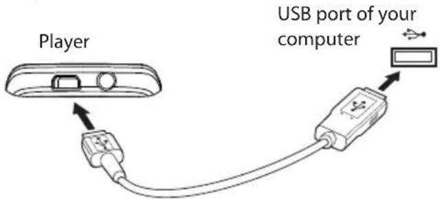Player USB port of your computer