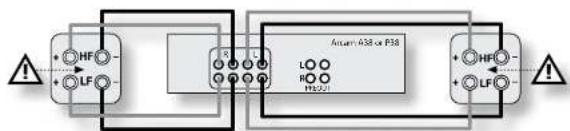 ARCAM P38 - Bi-wiring - 1