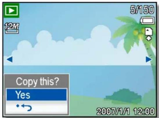 12M 5/150 Copy this? Yes 2007/1/1 12:00