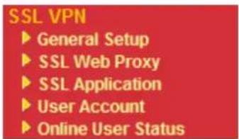Draytek Vigor2950 - SSL VPN - 1