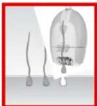 Arzum AR532 - USING THE DEPILATION HEAD - 3