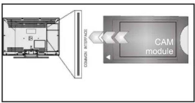 Finlux 40FLHK242BWG - Using a Conditional Access Module - 2