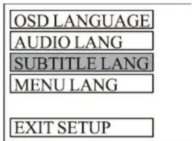 OSD LANGUAGE AUDIO LANG SUBTITLE LANG MENU LANG EXIT SETUP