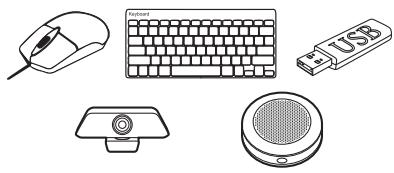 OPTOMA OCH100 - INFORMATIONS SUPPLÉMENTAIRES - 1