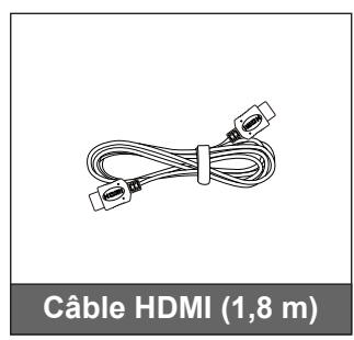 Câble HDMI (1,8 m)