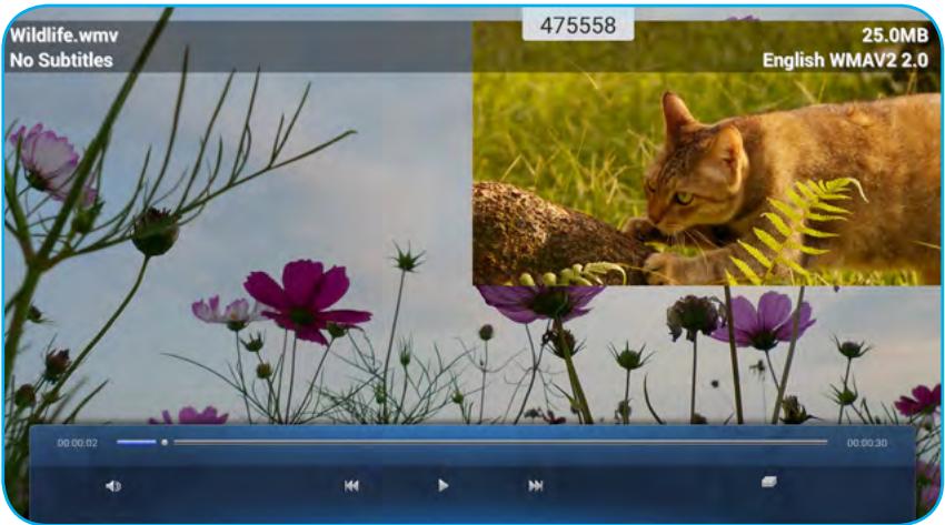 OPTOMA OP751RK+ - Lecture de vidéos - 2