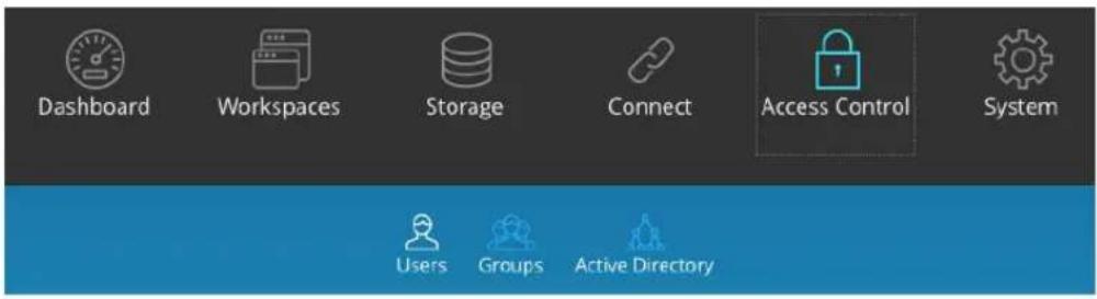 Dashboard Workspaces Storage Connect Access Control System Users Groups Active Directory