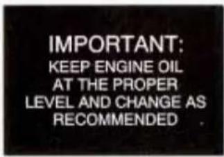 IMPORTANT: KEEP ENGINE OIL AT THE PROPER LEVEL AND CHANGE AS RECOMMENDED