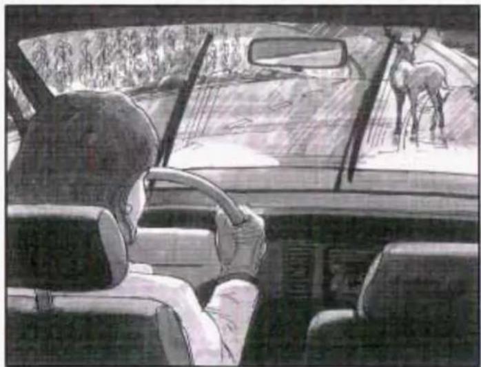 Interior view of a car showing driver's seat, steering wheel, and deer in the windshield (no text or symbols visible)