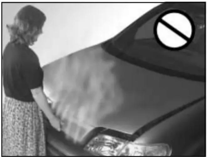 Woman standing beside a car with a no-smoking symbol on the roof (no text or numbers visible)