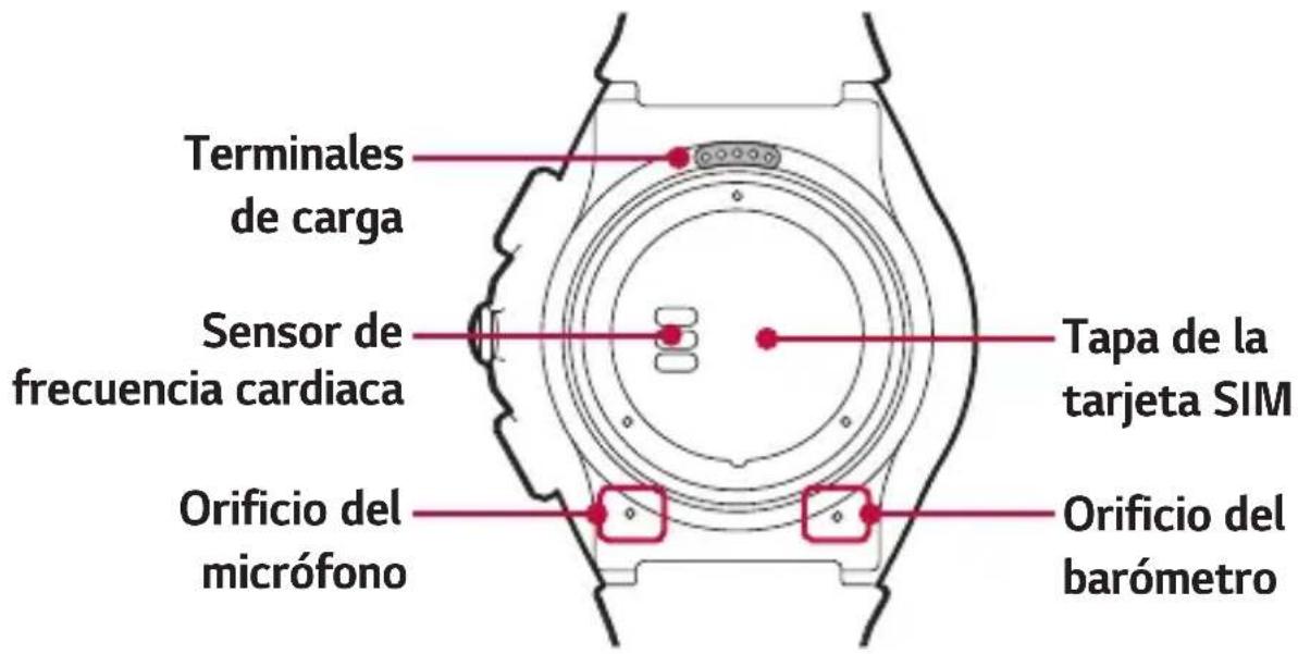 Terminales de carga Sensor de frecuencia cardiaca Tapa de la tarjeta SIM Orificio del micrófono Orificio del barómetro