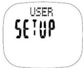 USER SETUP