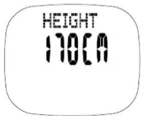 HEIGHT 170CA