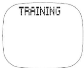 TRAINING