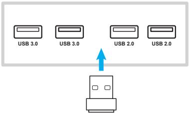 OPTOMA OP861RK+ - Réseau sans fil - 1