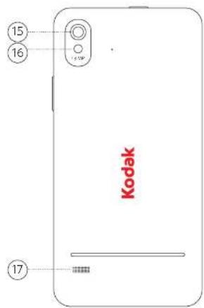 15 16 17 Kodak