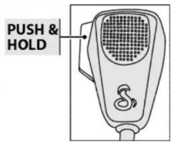 PUSH & HOLD