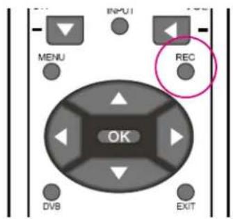 INPUT MENU REC OK DV8 EXIT