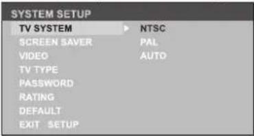 SYSTEM SETUP TV SYSTEM NTSC SCREEN SAVER PAL VIDEO AUTO TV TYPE PASSWORD RATING DEFAULT EXIT SETUP
