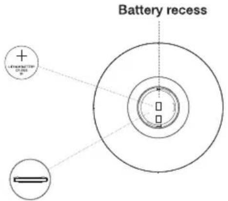 Battery recess LEMONITOR ONION + - - -