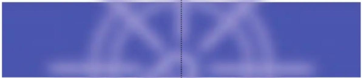 MERIDIAN 861 - Dialogue Normalisation display - 1